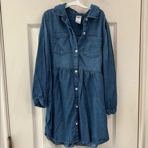 Blue Denim Button-Up Dress